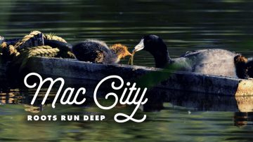 Mac-City-Clips-Channel-Image