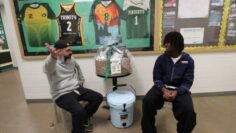 Private: [ID: pVsiSL93vA4] Youtube Automatic